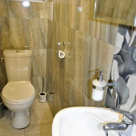 Ema Artistic House Pensiune