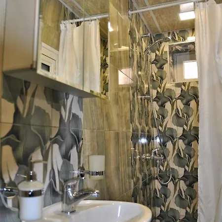 Pensiune Ema Artistic House Plevna