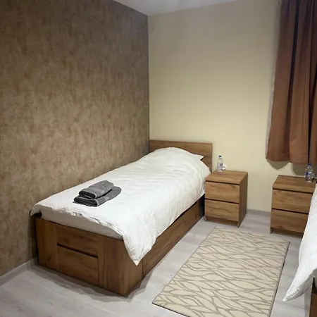 Pensiune Ema Artistic House *