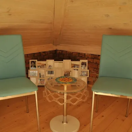 Pensiune Ema Artistic House Plevna