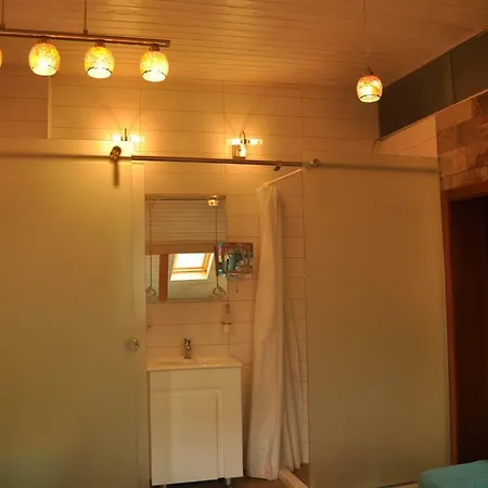 Pensiune Ema Artistic House Plevna