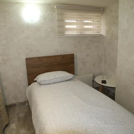 Ema Artistic House Pensiune Plevna